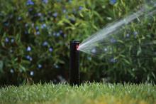 Shrub Rotor PGJ ADJ Shrub Rotor (*) - Aquamart